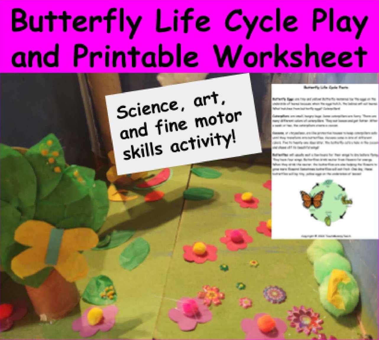 Butterfly Life Cycle Play Craft